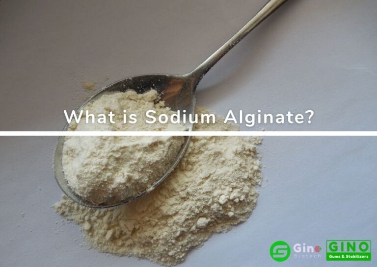 What is Sodium Alginate? E401 Natural Thickener Stabilizer