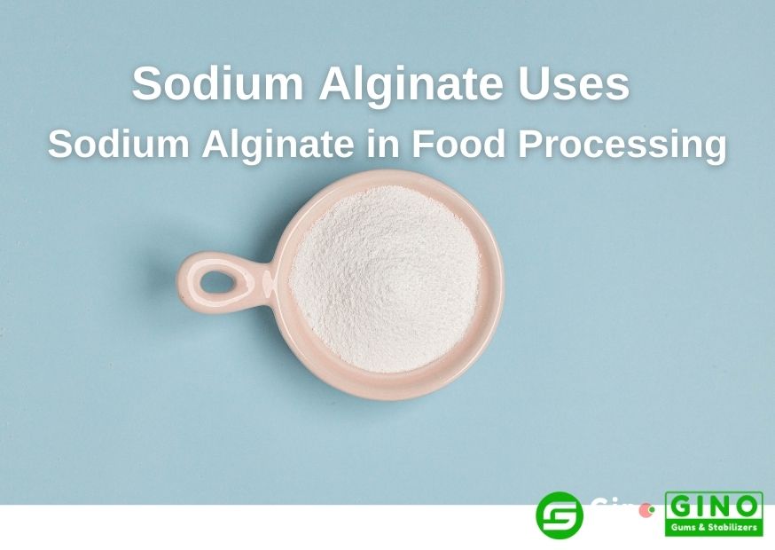 8 Most Common Sodium Alginate Uses Sodium Alginate in Food Processing