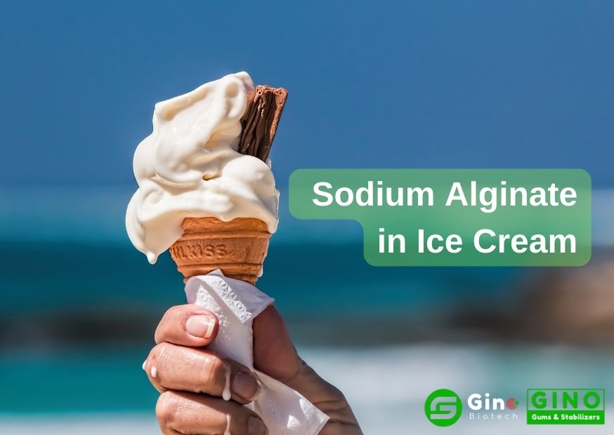 Sodium Alginate in Ice Cream_Gino Gums Stabilizers
