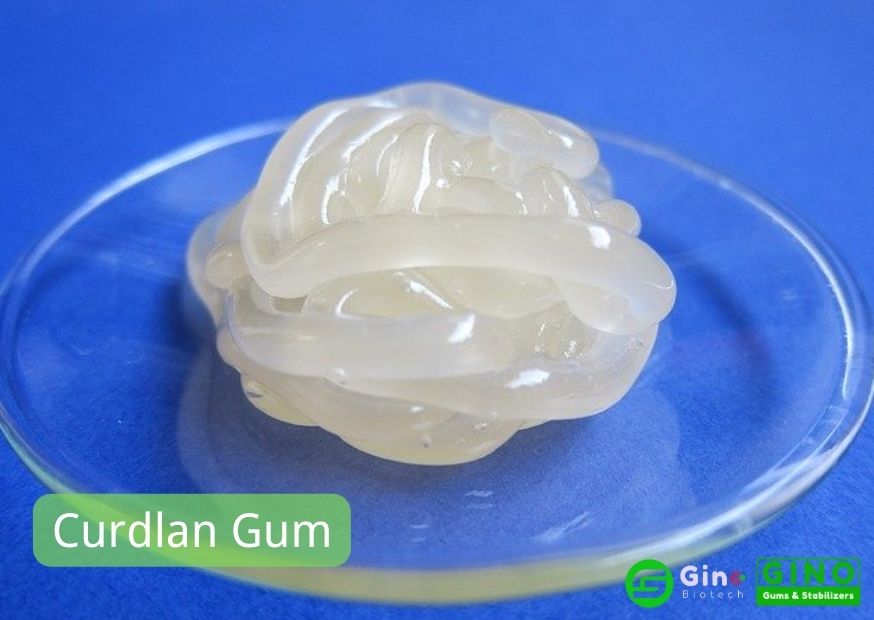 Thermally irreversible gel_Curdlan Gum