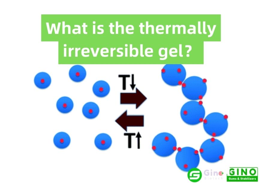 What is the thermally irreversible gel？ Gino Gums