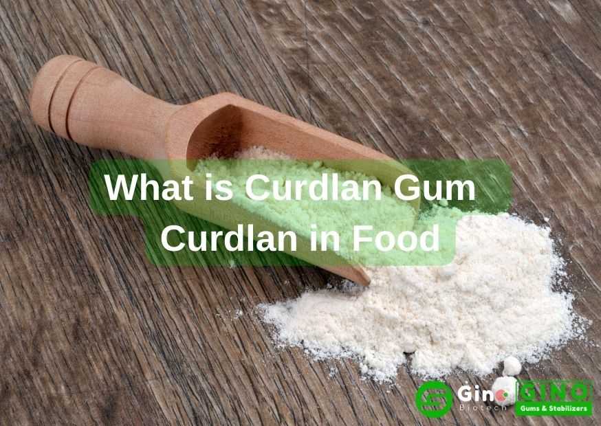 What is Curdlan Gum Curdlan in Food (3)