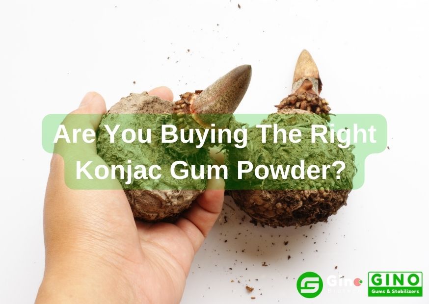 Are You Buying The Right Konjac Gum Powder (2)