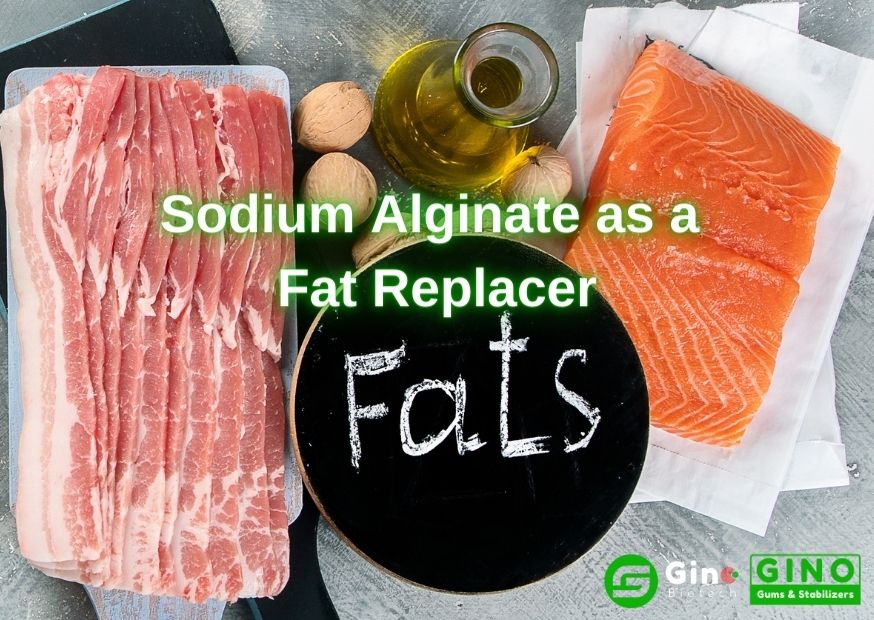 Sodium Alginate Fat Replacer (1)