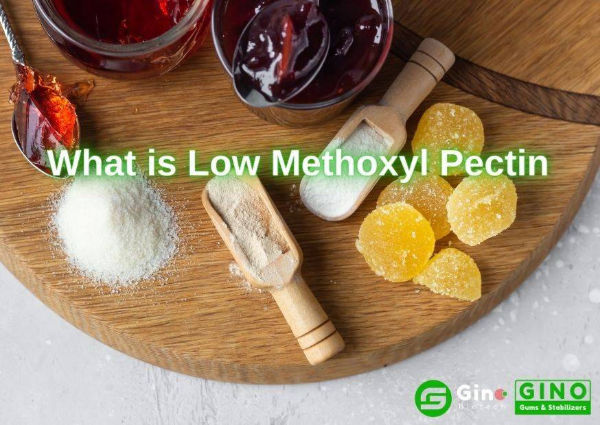 What is Low Methoxyl Pectin (2)(1)