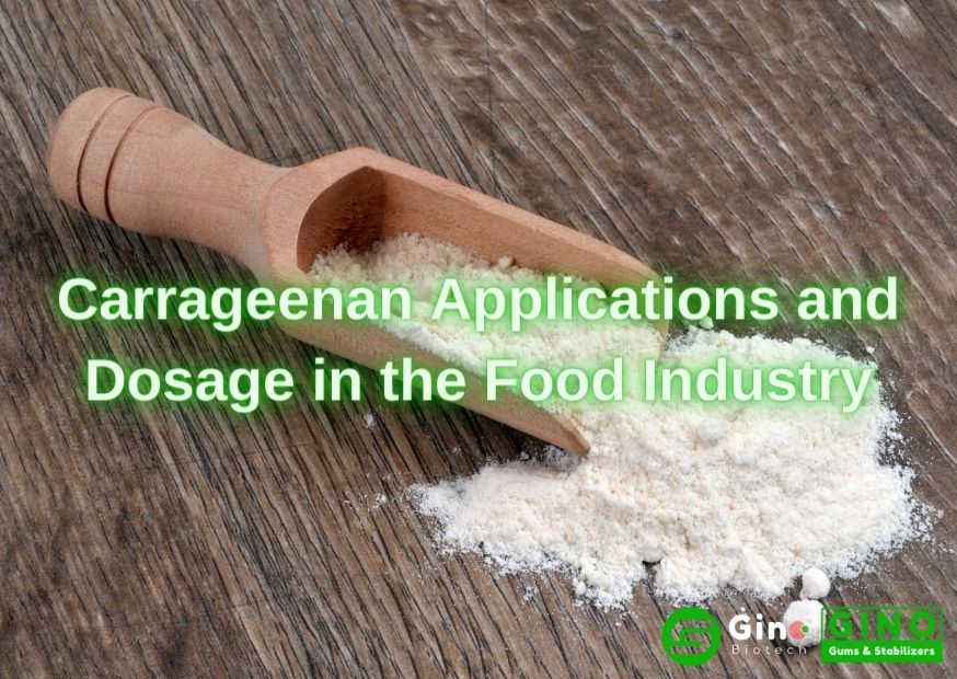 Carrageenan Applications and Dosage in the Food Industry (3)