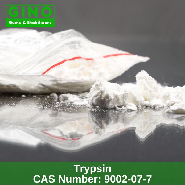 Trypsin Supplier & Distributor (1)