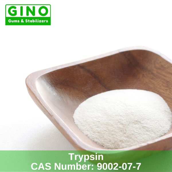 Trypsin Supplier & Distributor (2)