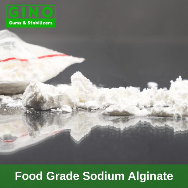 E401 Food Grade Sodium Alginate Powder in China - Gino Gums