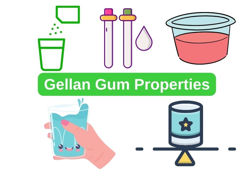 High Acyl Gellan Gum Properties
