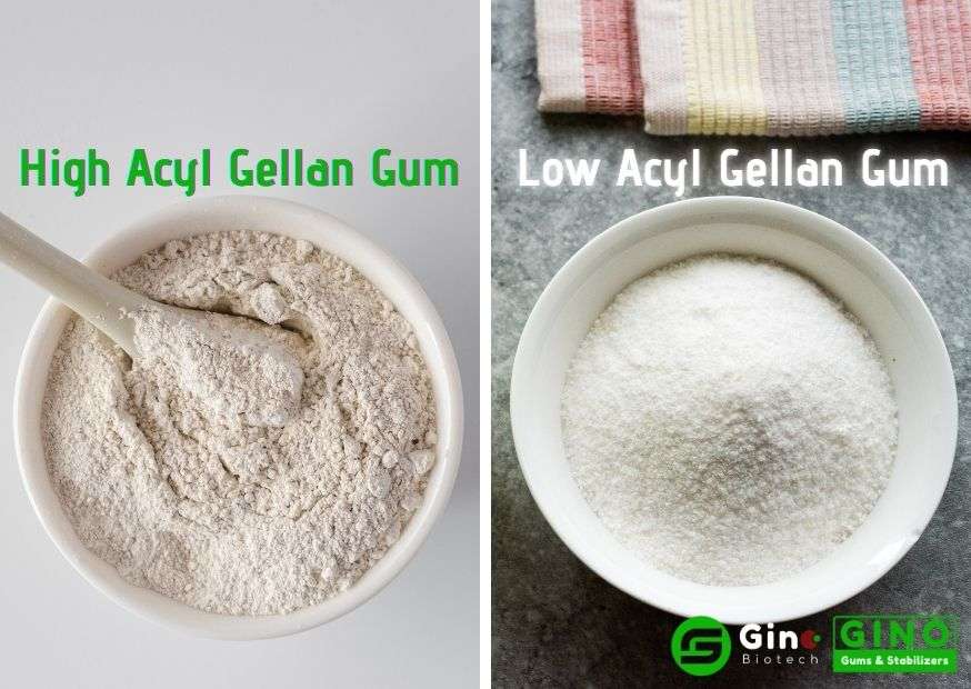 Low Acyl Vs High Acyl Gellan Gum