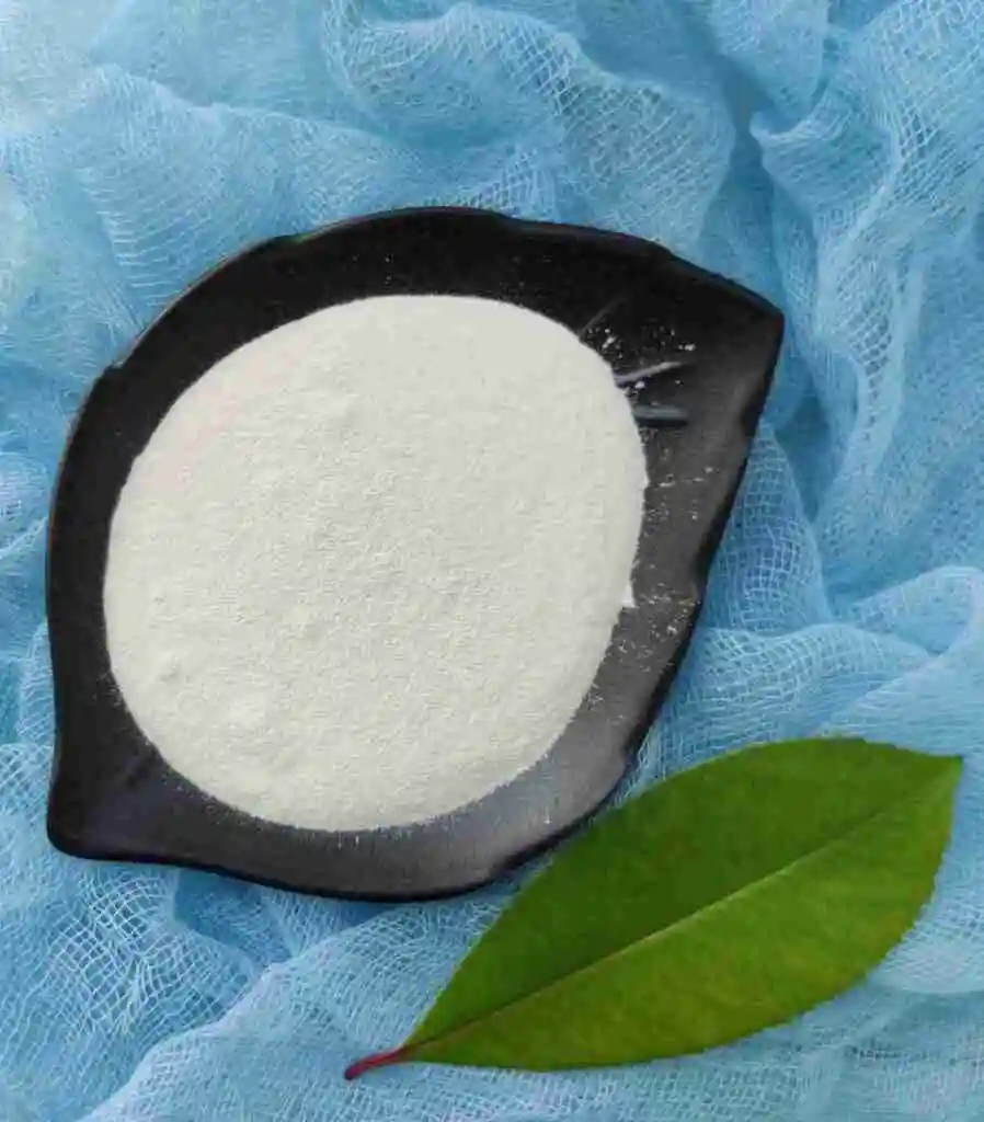 E401 Food Grade Sodium Alginate Powder in China - Gino Gums