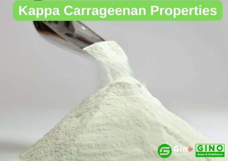 e407 Kappa Carrageenan in Ice Cream Auxiliary but Essential Stabilizer