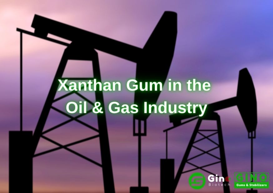 Xanthan Gum Uses in the Oil and Gas Industry