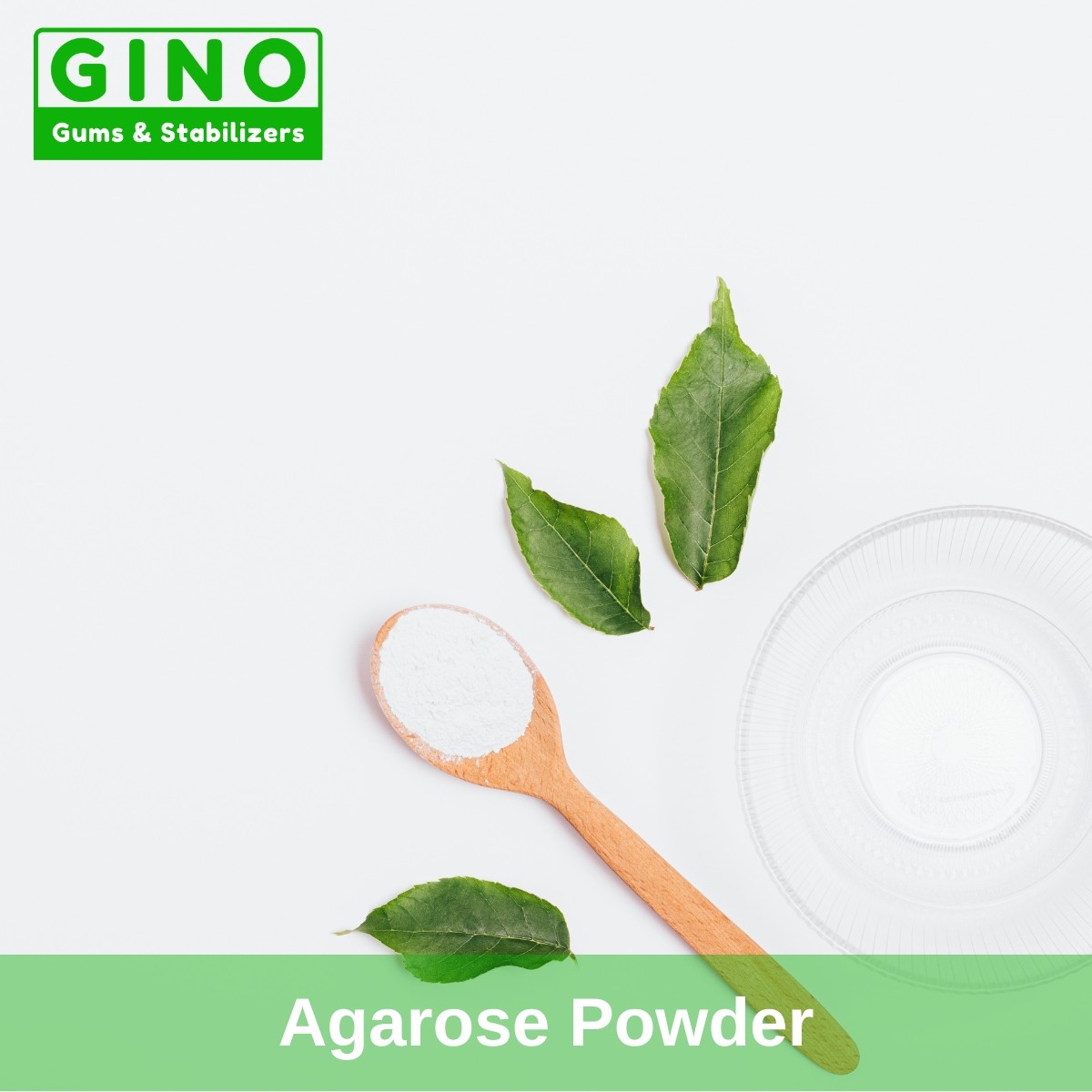 Agarose powder in molecular biology research_Gino Gums (2)