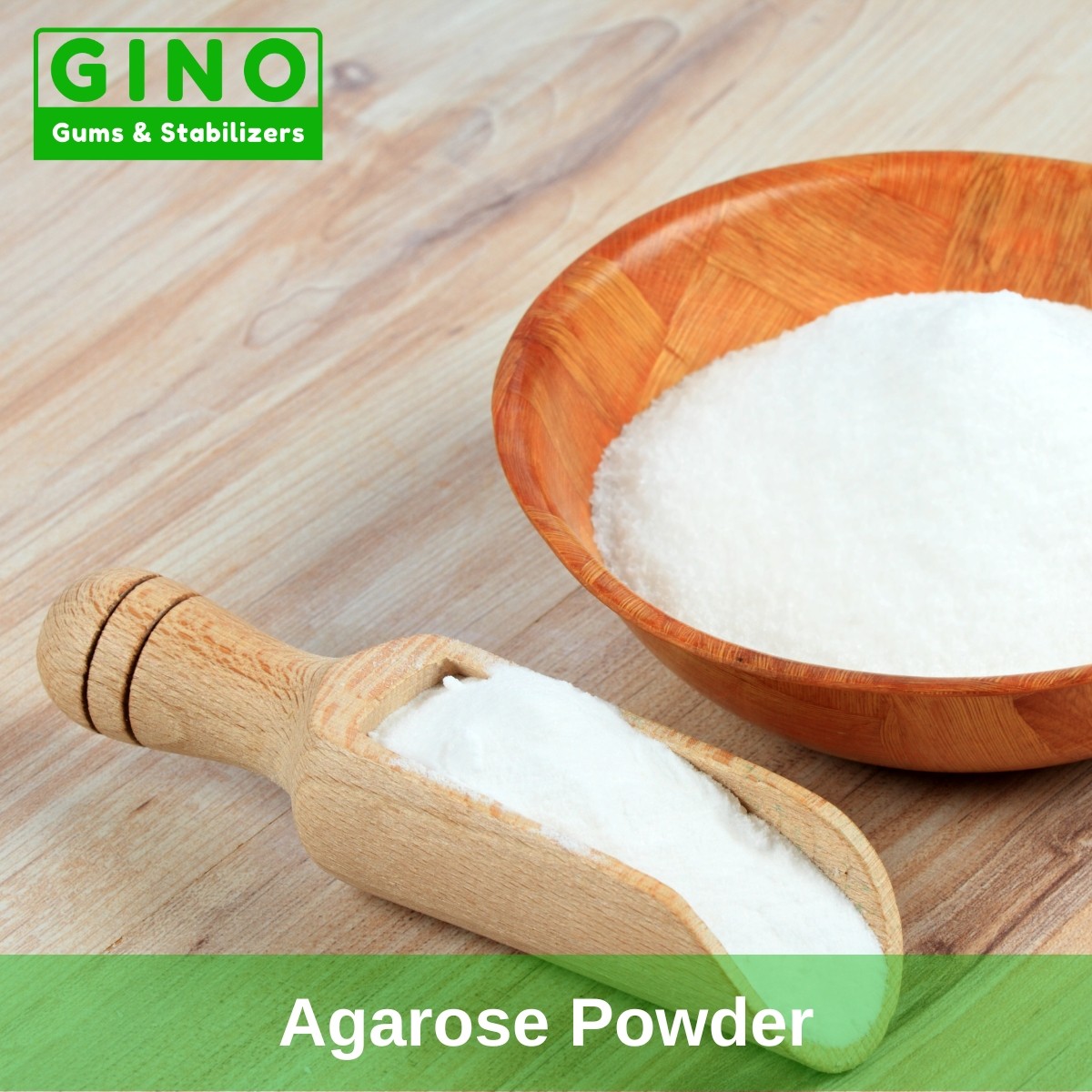 Agarose powder in molecular biology research_Gino Gums (3)