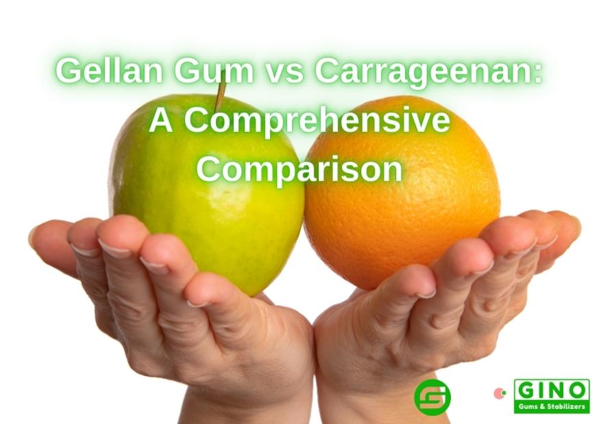 Gellan Gum vs Carrageenan_ A Comprehensive Comparison for Better Understanding (2)