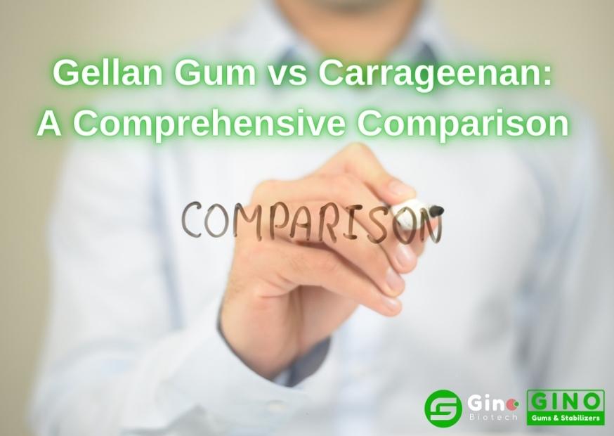 Gellan Gum vs Carrageenan_ A Comprehensive Comparison for Better Understanding