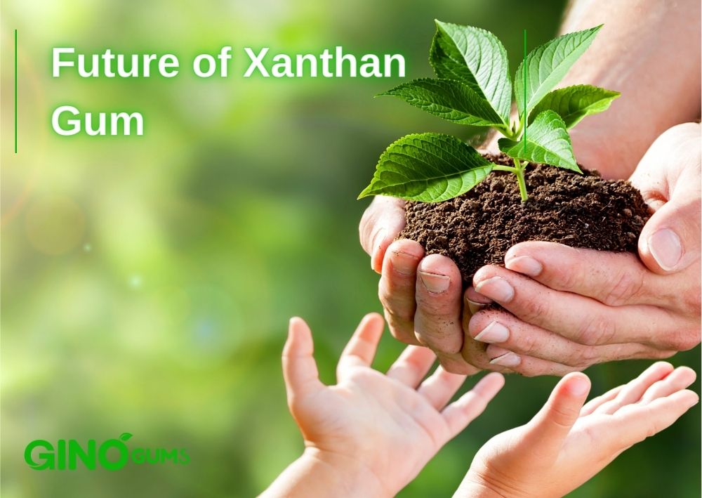 Future of Xanthan Gum