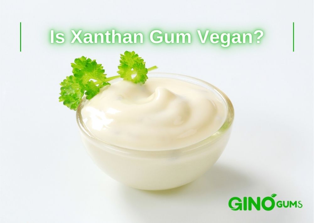 Is Xanthan Gum Vegan_ The Truth Behind this Versatile Food Additive!