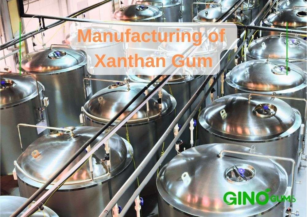 Manufacturing of Xanthan Gum