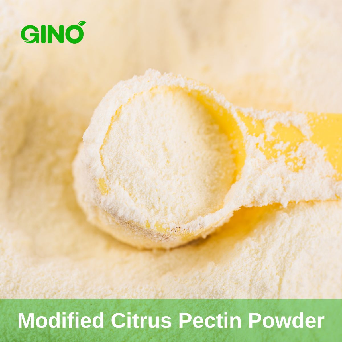 Modified Citrus Pectin Powder (2)