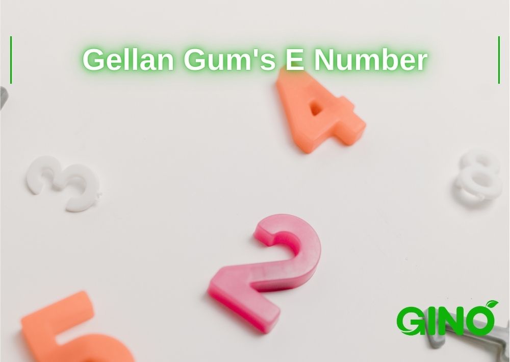 Gellan Gum's E Number
