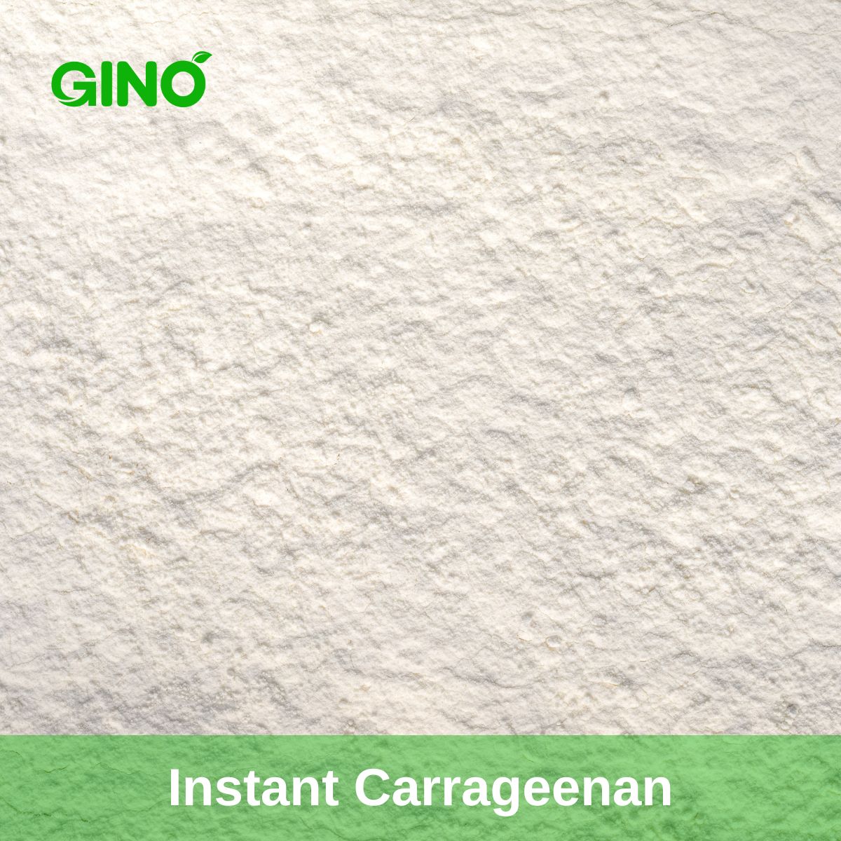 Instant Carrageenan supplier - Gino Gums (3)