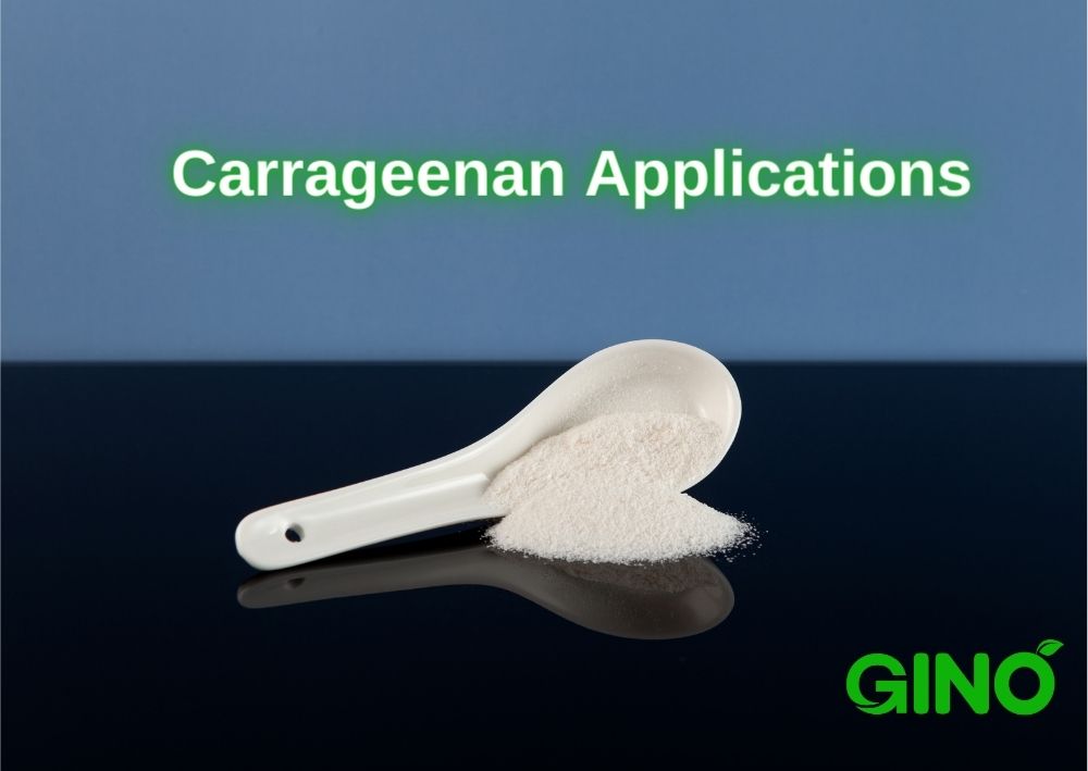 Carrageenan Applications - Exploring Its Role Across Industries