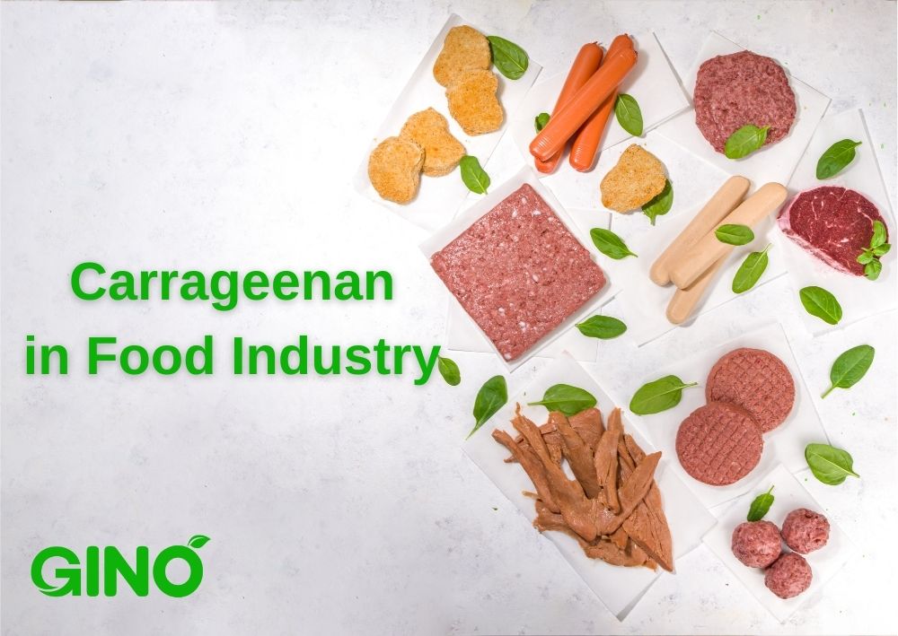 Carrageenan Uses in Food Industry