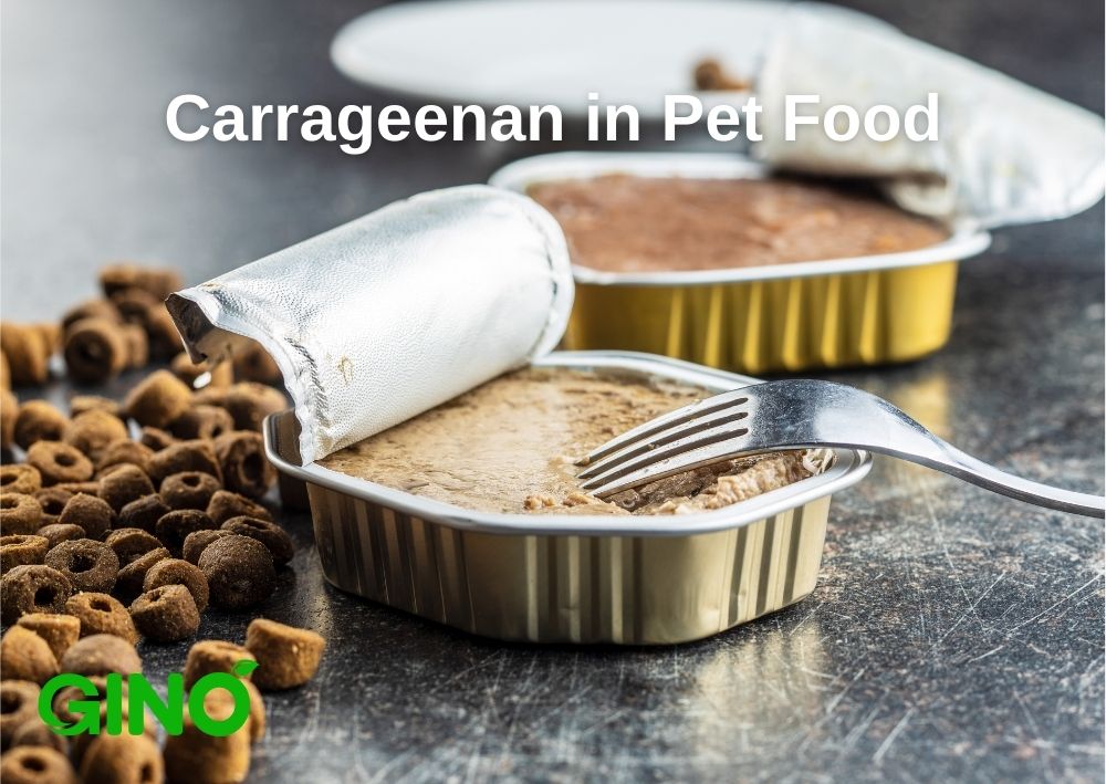 Carrageenan Uses in Pet Care Products