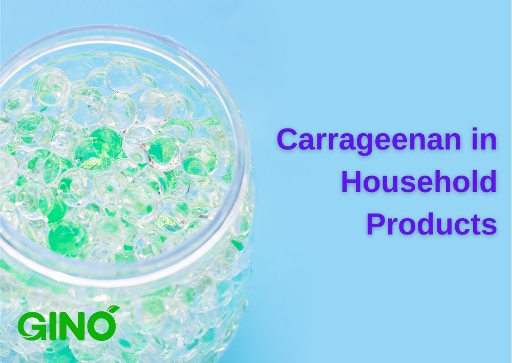 Carrageenan in Household Products