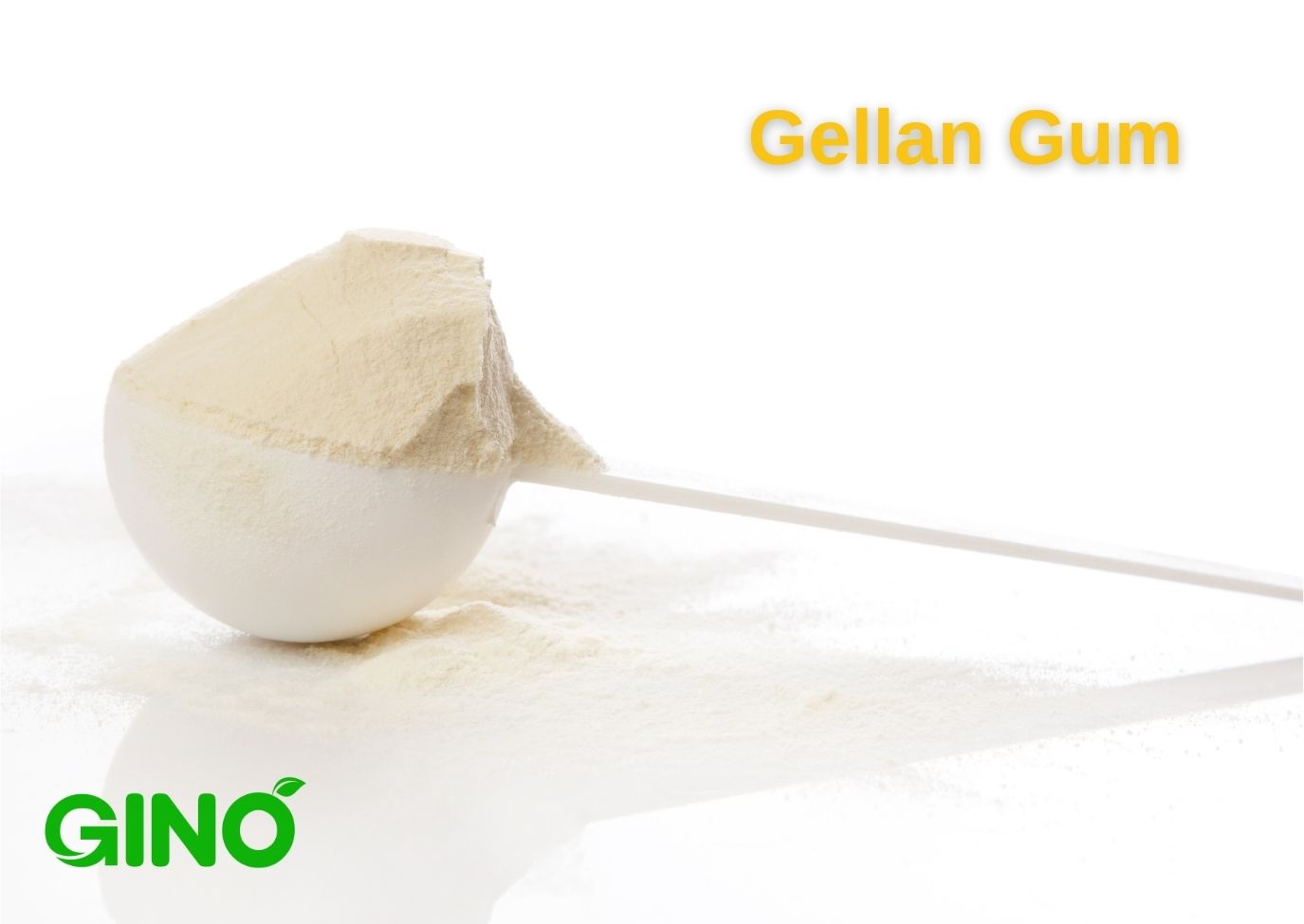 Gellan Gum Supplier