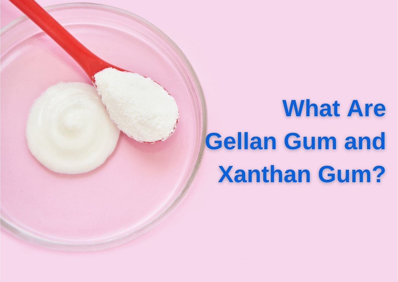 What Are Gellan Gum and Xanthan Gum