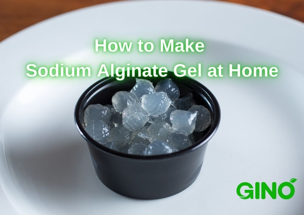 A Step-by-Step Guide How to Make Sodium Alginate Gel at Home