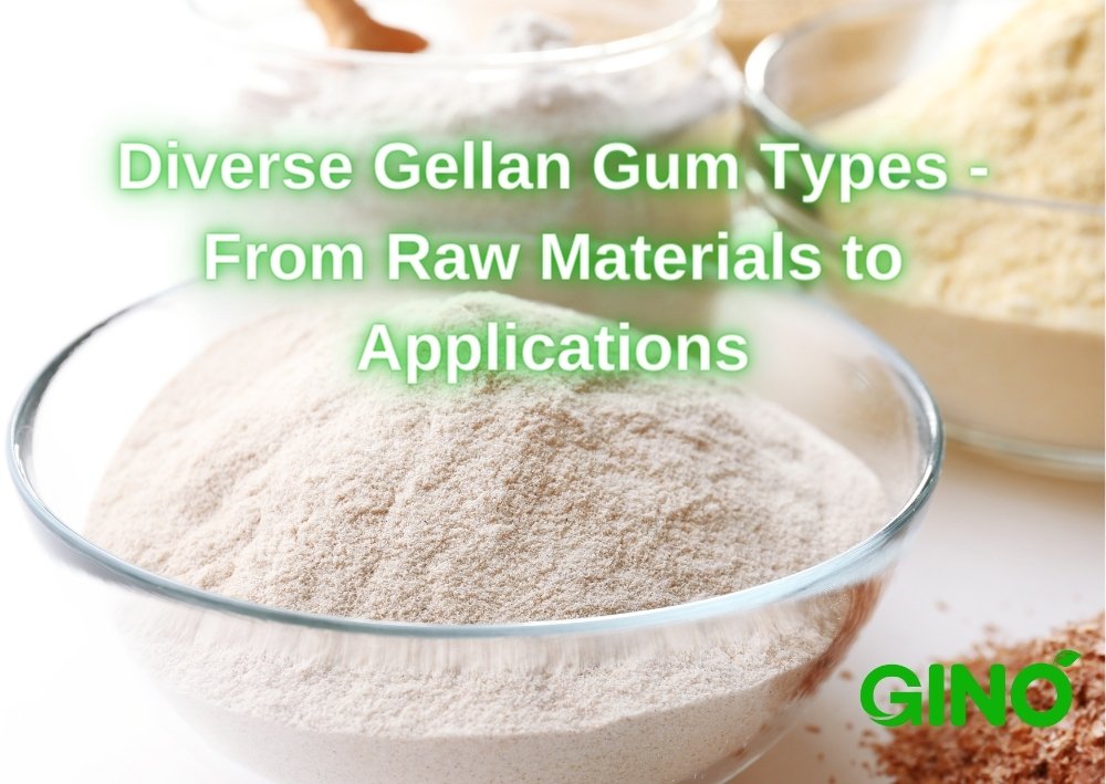 Diverse Gellan Gum Types - From Raw Materials to Applications