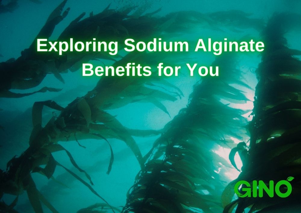 Exploring Sodium Alginate Benefits for You