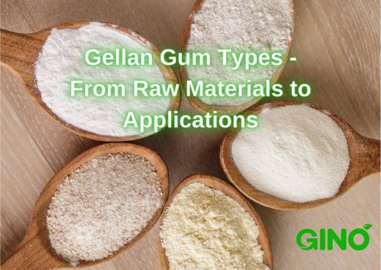 Diverse Gellan Gum Types From Raw Materials to Applications