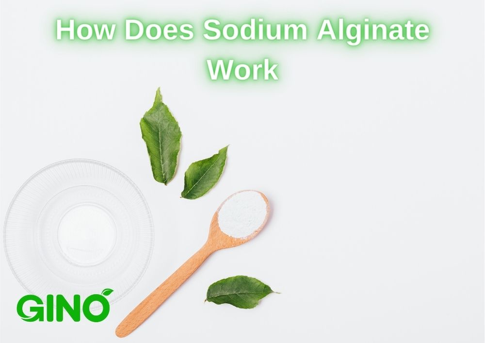 How Does Sodium Alginate Work