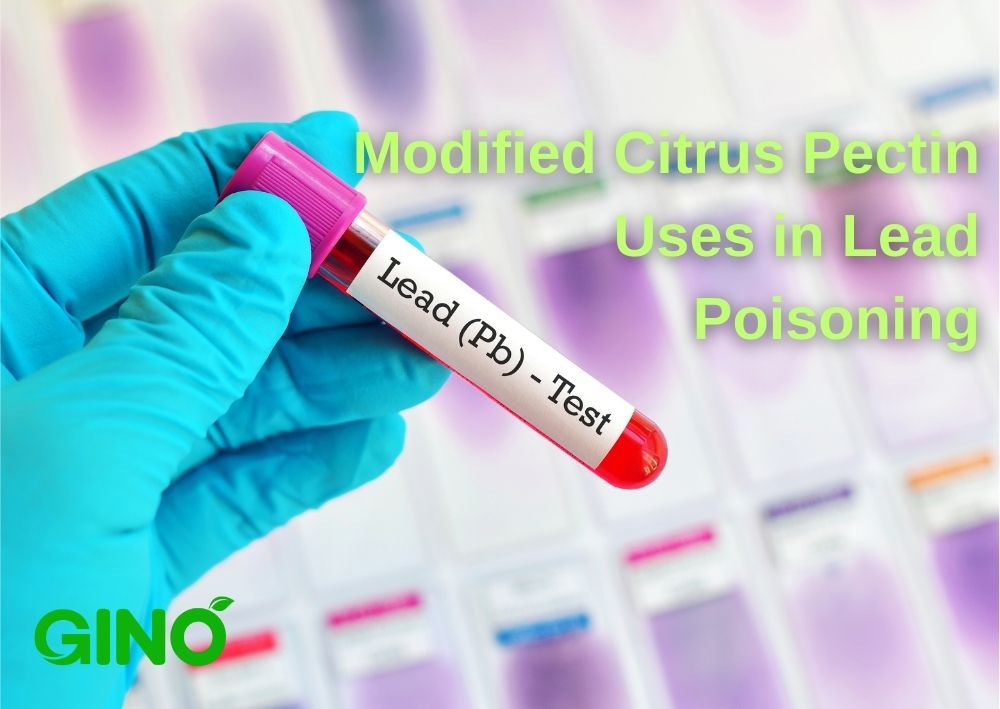Modified Citrus Pectin Uses in Lead Poisoning