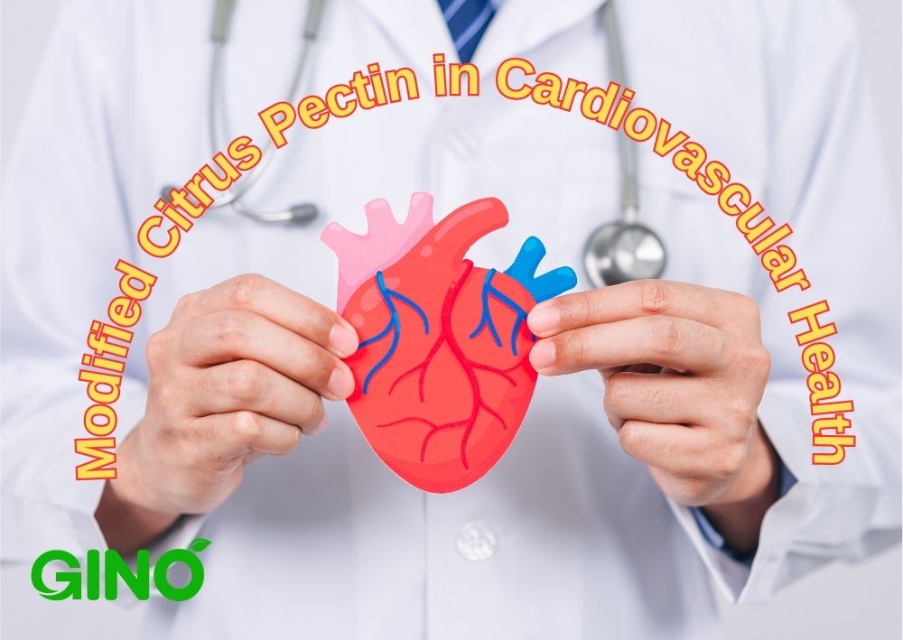 Uses of Modified Citrus Pectin (MCP) in Cardiovascular Health