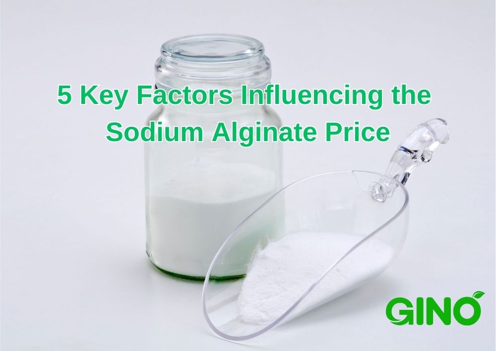 5 Key Factors Influencing the Sodium Alginate Price
