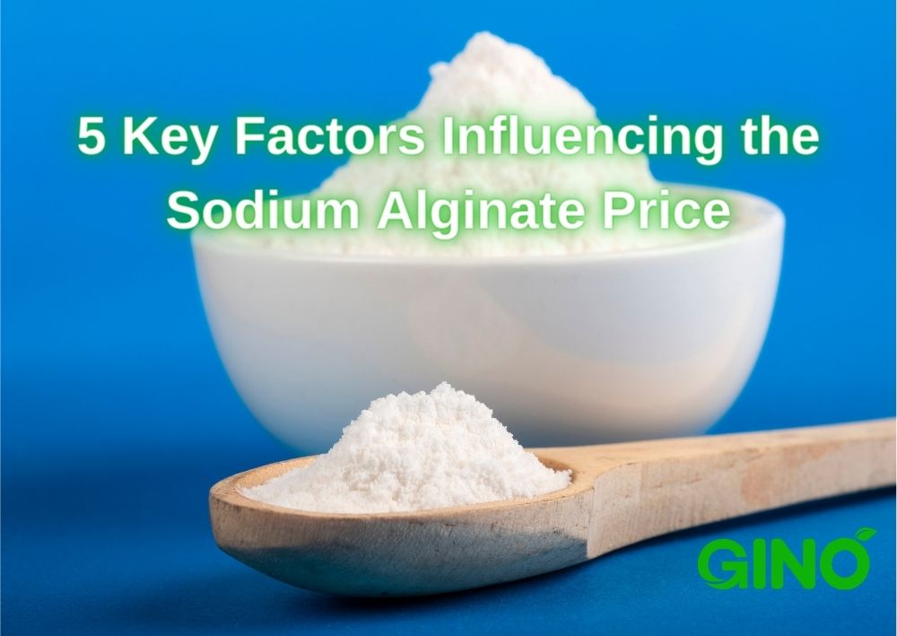 The 5 Key Factors Influencing the Sodium Alginate Price