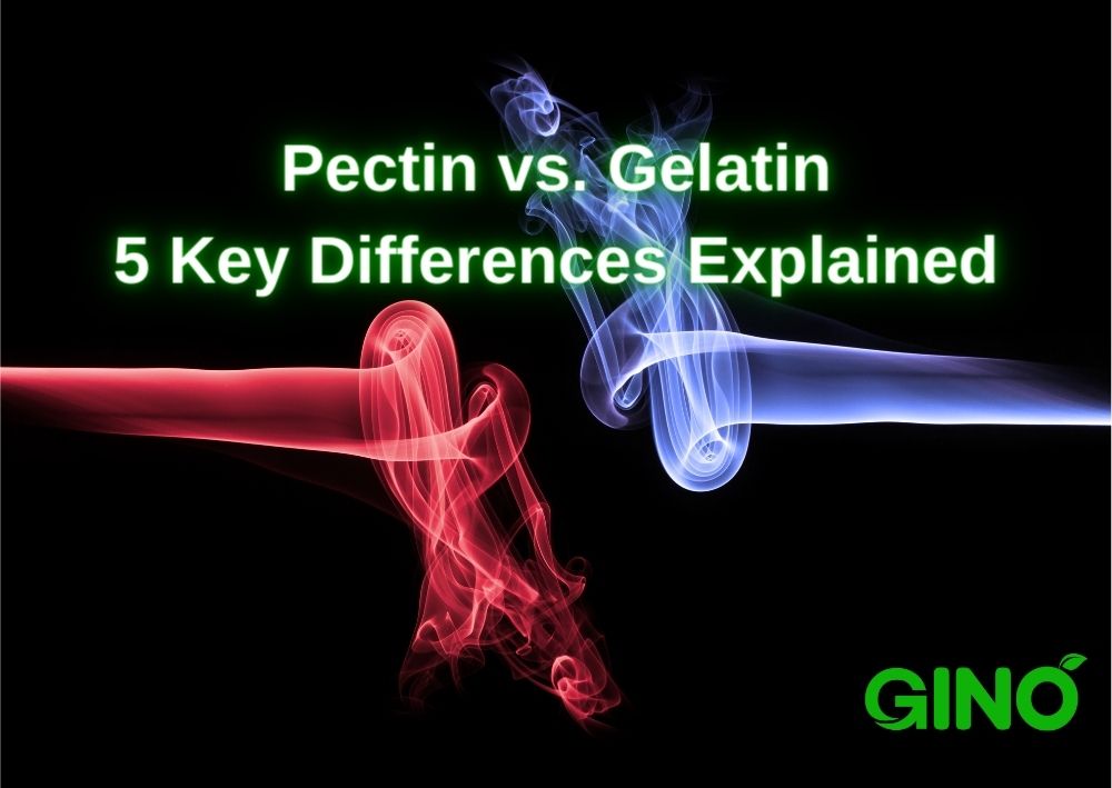 Pectin vs Gelatin - 5 Key Differences Explained