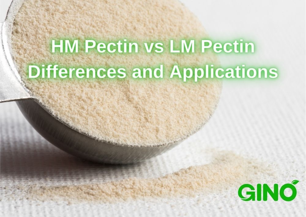 HM Pectin vs LM Pectin - Differences and Applications