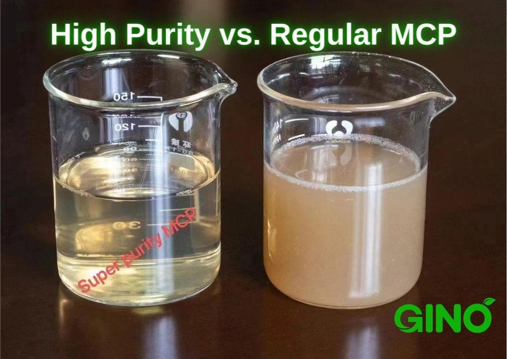 High Purity vs Regular Purity MCP