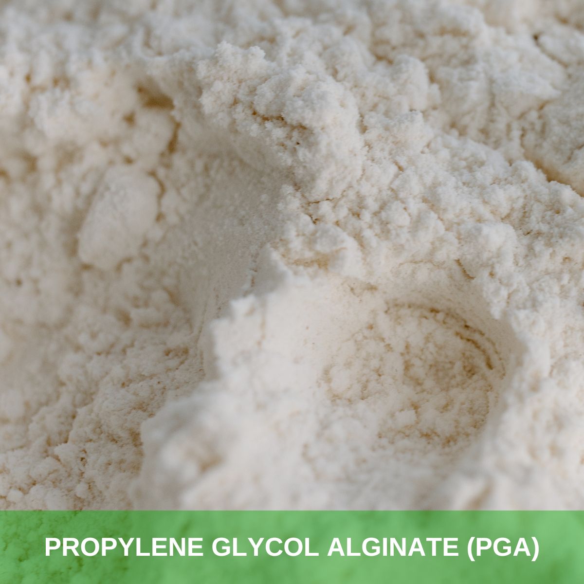 Propylene Glycol Alginate (PGA) (2)
