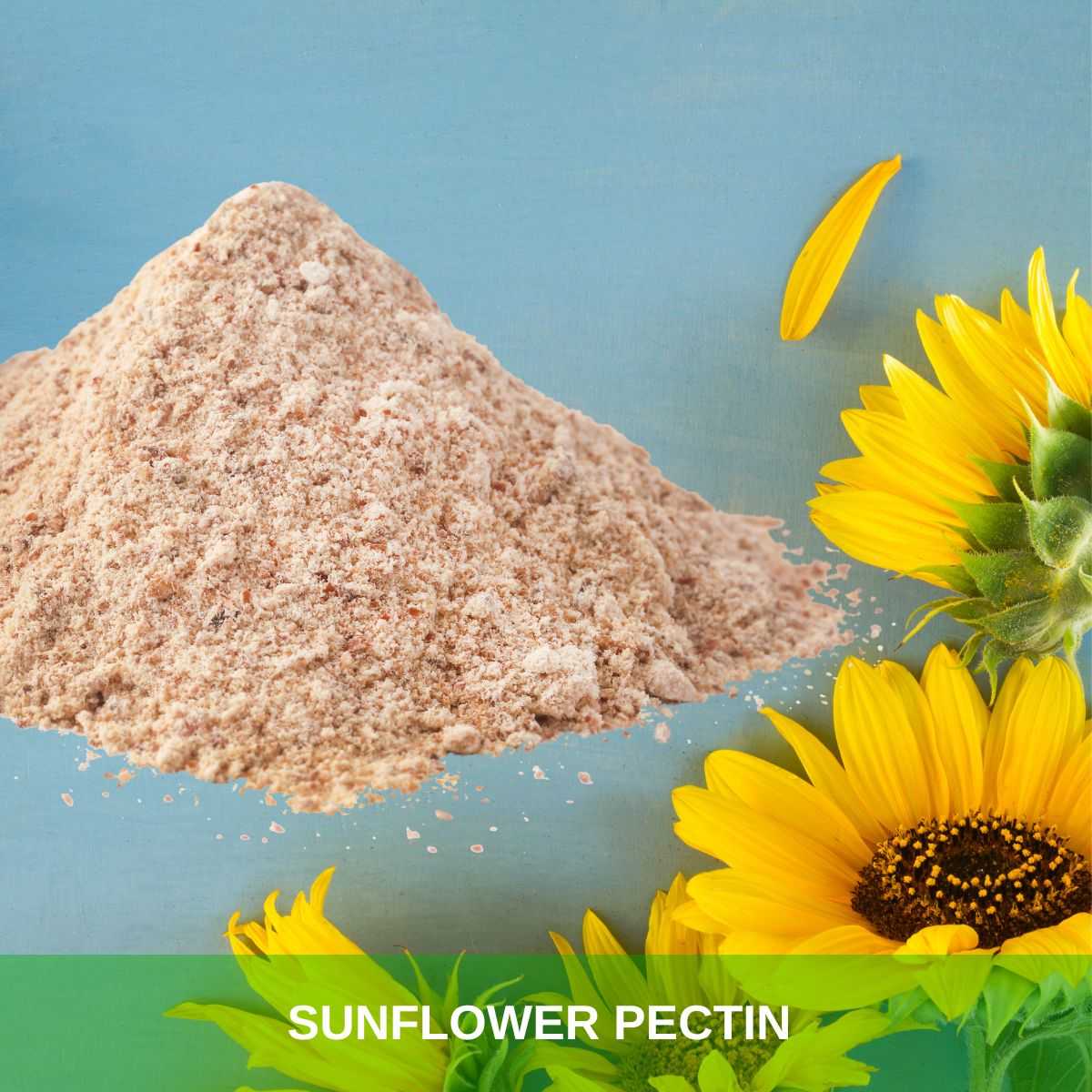 Sunflower Pectin Powder (4)