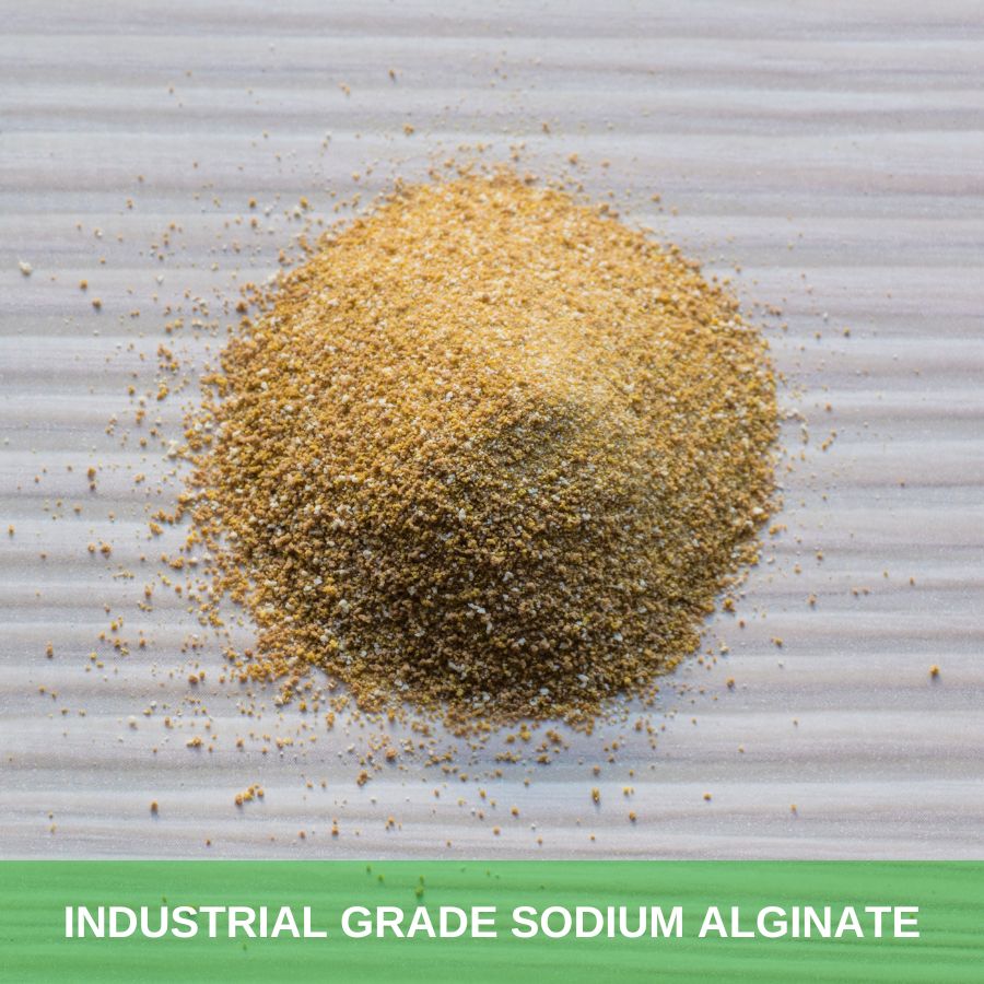 Industrial Grade Sodium Alginate (2)