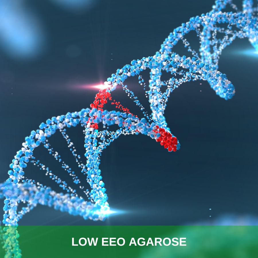 Low EEO Agarose (2)